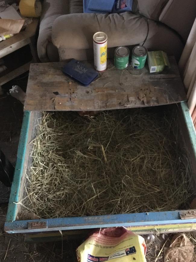 A box housing a guinea pig in the loungeroom