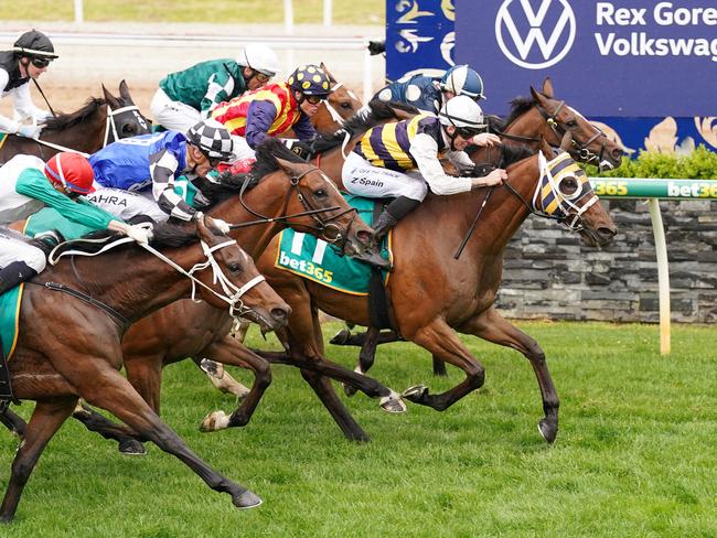 Phillip Stokes' Amade wins the Geelong Cup last year. Picture: Scott Barbour/Racing Photos via Getty Images