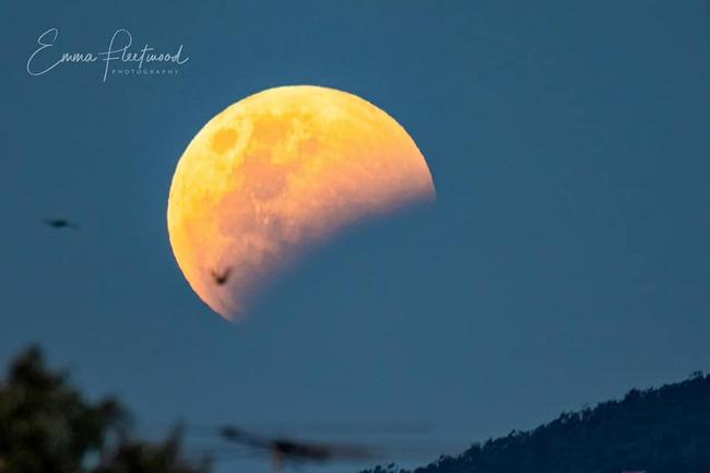 The Blood Moon from SA: Emma Fleetwood