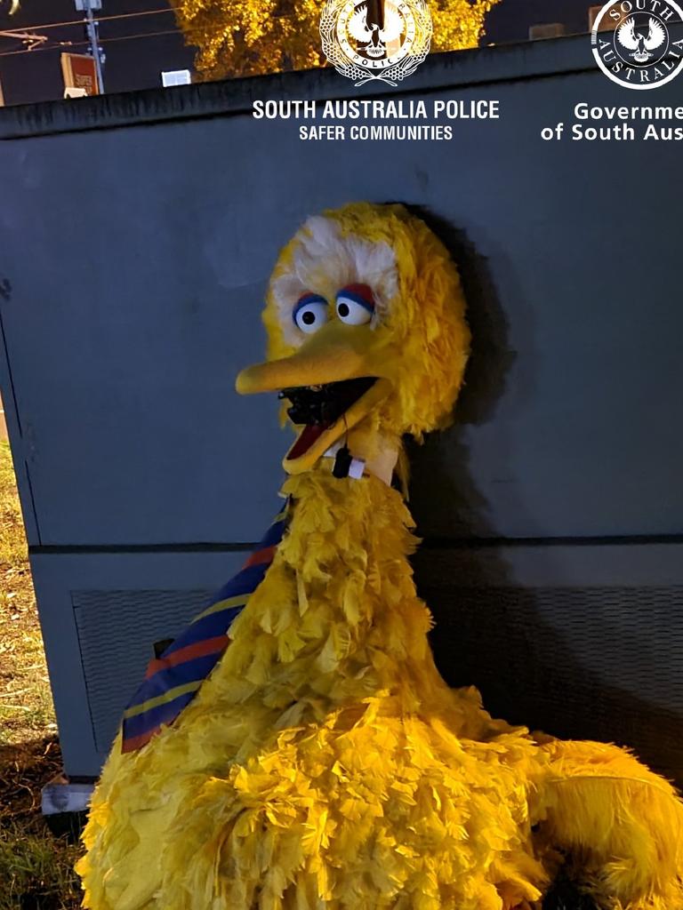 The Big Bird costume was returned to circus site in the early hours of Wednesday morning. Picture: SA Police