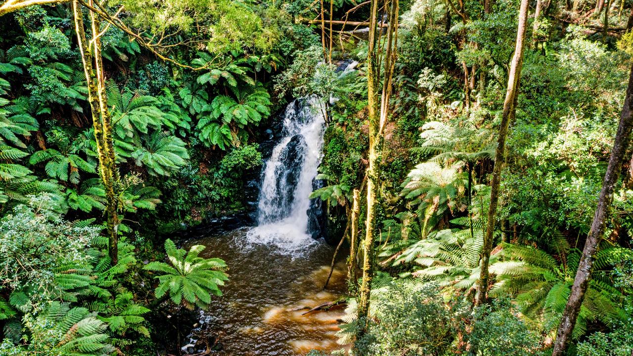 Whoever buys this Otways home will be able to chase waterfalls in their backyard.