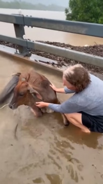 Wild scenes as flood water inundates Cairns and other parts of North QLD