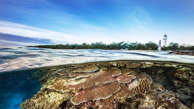 The pristine waters of the Great Barrier Reef off Lady Elliot Island Eco Resort.