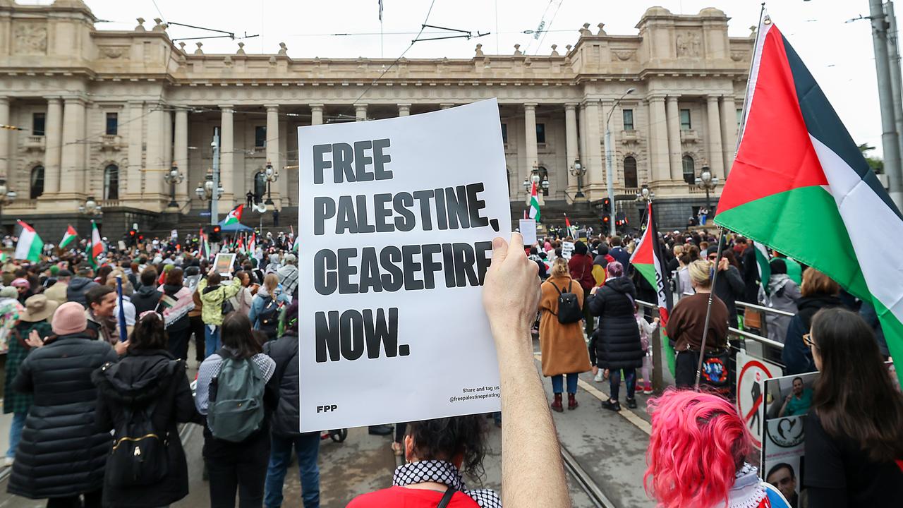 The rally took place outside the State Library. Picture: NCA NewsWire / Ian Currie