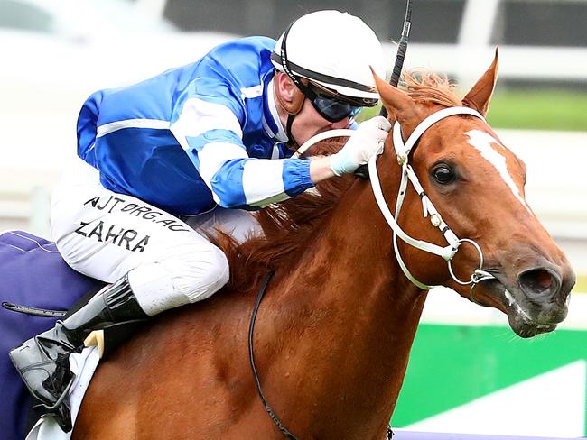 MELBOURNE, AUSTRALIA - FEBRUARY 15: Jockey Mark Zahra rides Gytrash to win race 7 the Black Caviar Lightning during Melbourne Racing at Flemington Racecourse on February 15, 2020 in Melbourne, Australia. (Photo by Kelly Defina/Getty Images)