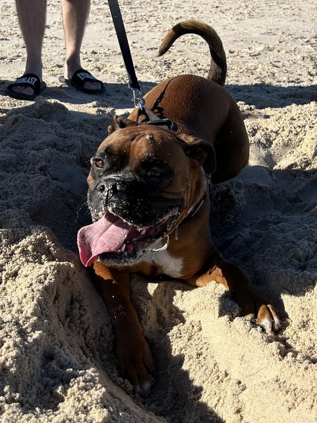 Having some fun on Brighton Beach. Picture: MATTHEW WELCH