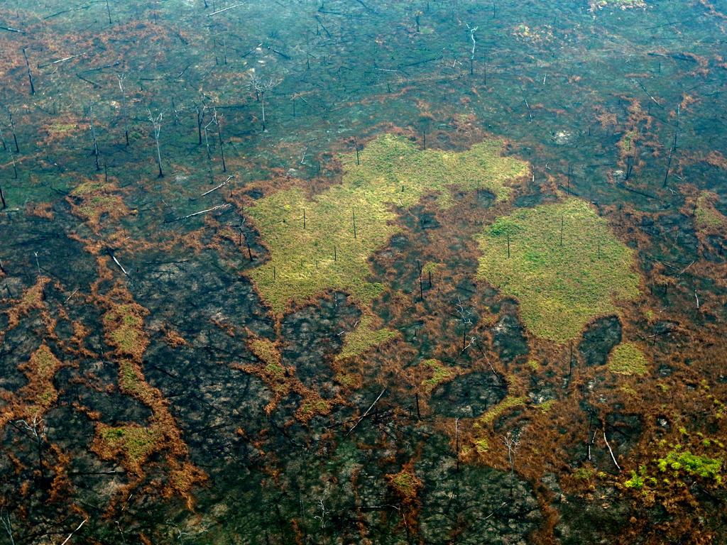 The burnt out Amazon. Picture: AFP