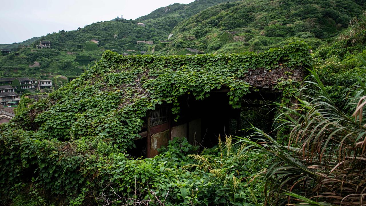A close-up of the overgrown vegetation on the buildings. Picture: AFP/Johannes Eisele