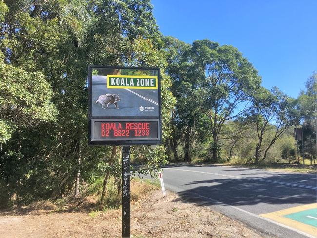 The fixed koala zone sign on Clothiers Creek Road features the emergency contact number for Friends of the Koala should anyone come across an injured koala.