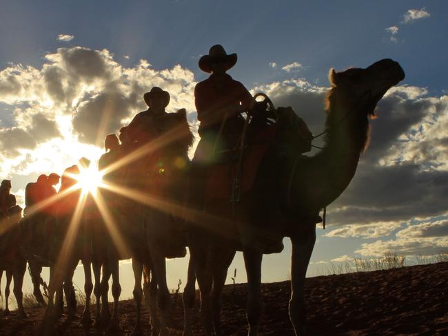 Images of Chris Hill and his Uluru Camel Tours business