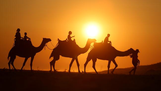 Camel rides in Lakes Entrance. Picture: Alex Coppel