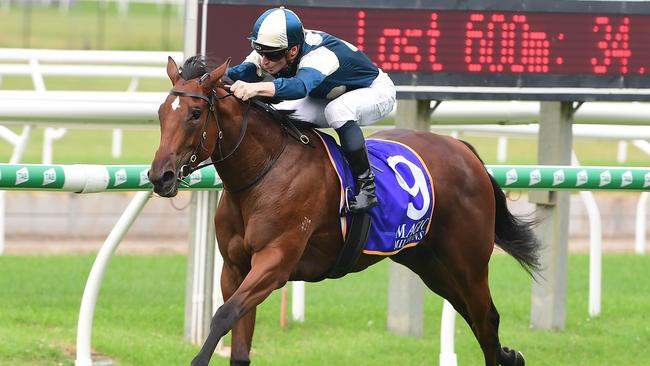 Coolangatta made it two in-a-row in the BJ McLachlan Stakes at Doomben. Picture: Trackside Photography