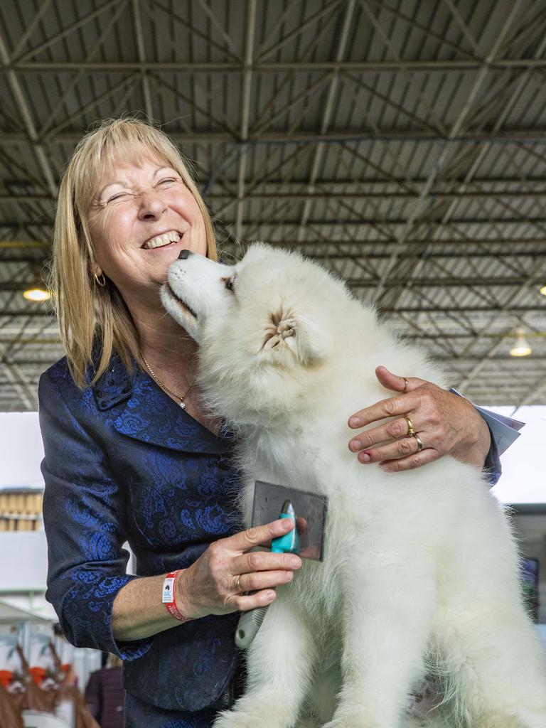 Julie Wales with Marshall, the three-month-old Samoyed, at the Ekka at the RNA Showgrounds in Bowen Hills on Thursday. Picture: Richard Walker