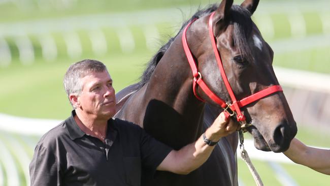 Trainer Steve Tregea his the jackpot with Mymancharles | The Courier Mail