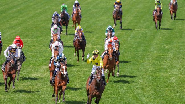 Without a Fight ridden by Mark Zahara leads the field home. Picture: Jason Edwards