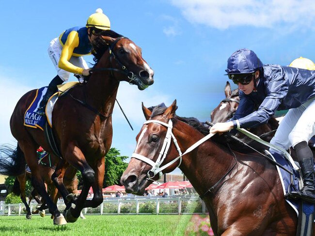 Storm Boy v Switzerland Golden Slipper