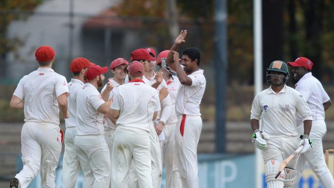 Preston players celebrate a wicket last summer. Picture: Chris Eastman.