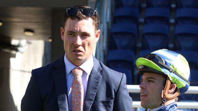 Trainer Nathan Doyle prepares Miss Scarlini who looks well placed. Picture: Grant Guy