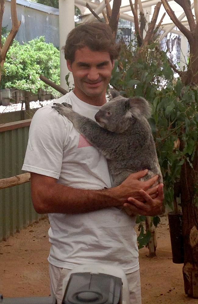 Roger Federer gets cuddly with koala in Brisbane | news.com.au ...