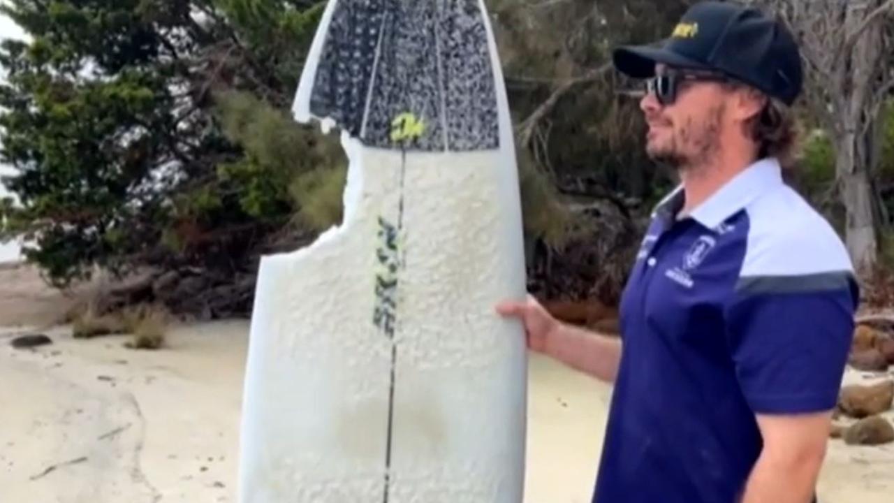 Surfer’s ‘miracle’ shark attack escape