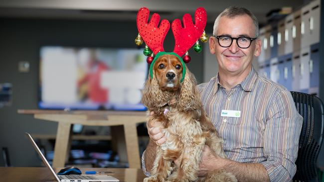 Woolworths chief executive Brad Banducci with his king charles cavalier cocker spaniel cross, Juno. Picture: Chris Pavlich