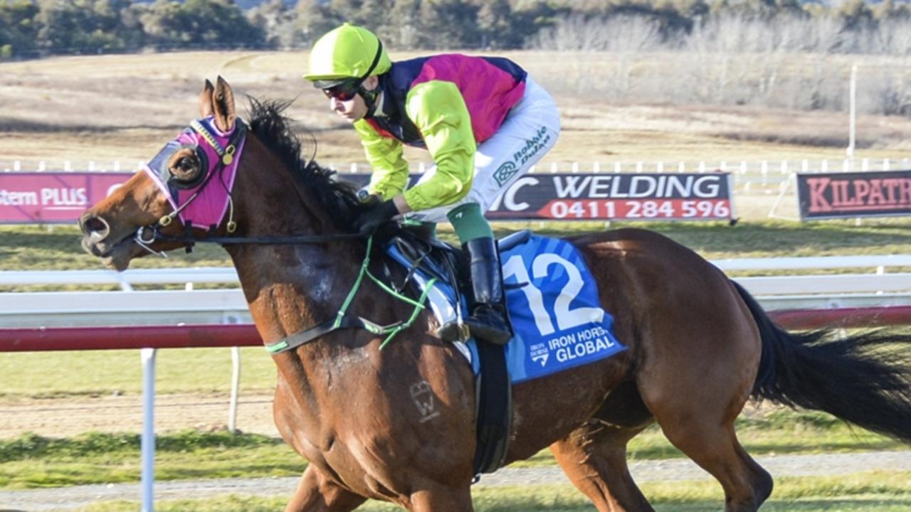 Prefer To Smile can notch a third consecutive win when she heads to Hawkesbury on Sunday. Picture: Bradley Photos