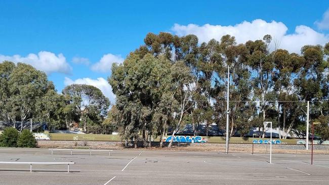 The current netball courts in Essex park that will be demolished if the new proposal goes ahead. Picture: Supplied