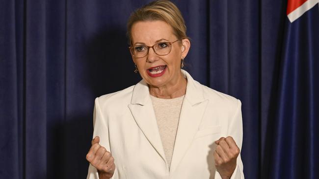 Opposition Leader Sussan Ley. Picture: Martin Ollman/NewsWire