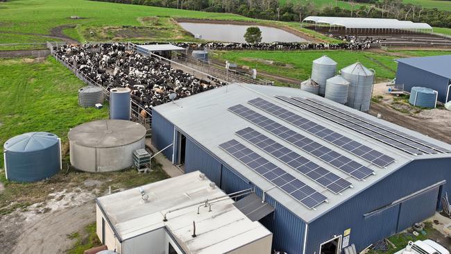 The Fish Creek dairy, Tallagandra, is currently milking 800 cows.