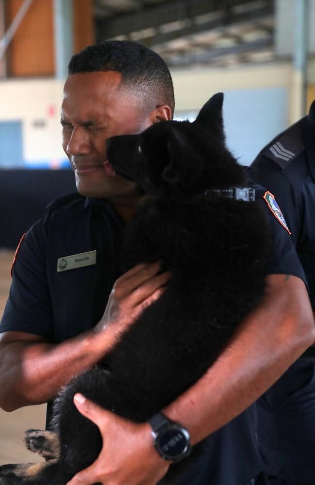 NT Police Dog Operations Unit officer Riva Zio with the squad's newest recruits, Axe and Jax.