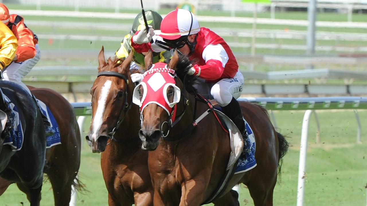 Kiwi apprentice at home in the winner’s circle 