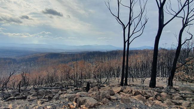 The view from Maramingo Hill, looking towards the NSW border. Picture: Supplied