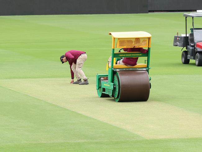 The Gabba deck looks ‘tree-frog green’ just days out fom the third test. Picture: Adam Head