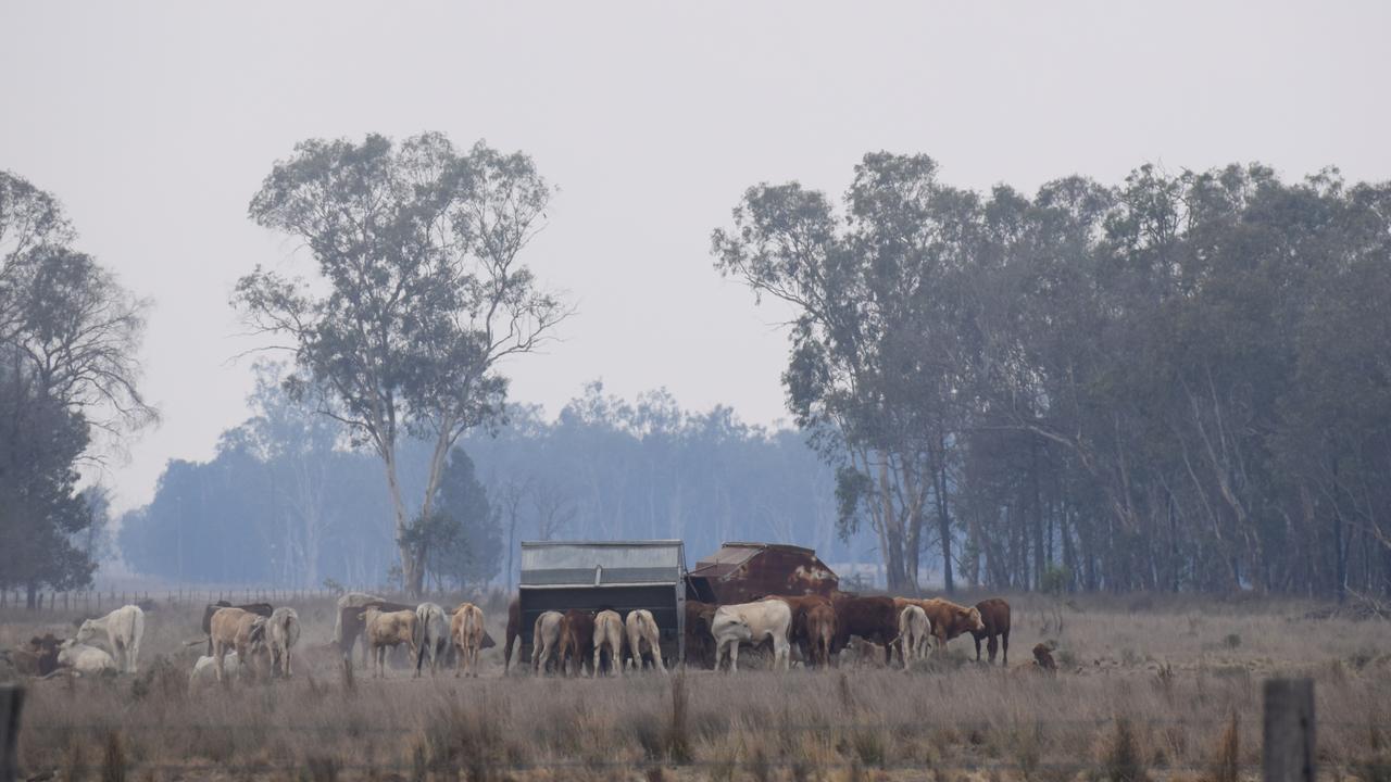 The Simpkins family prepare for another night of battling fires that have already damaged more than 100 acres of their grazing land after dry lightning struck. Picture: Emily Devon