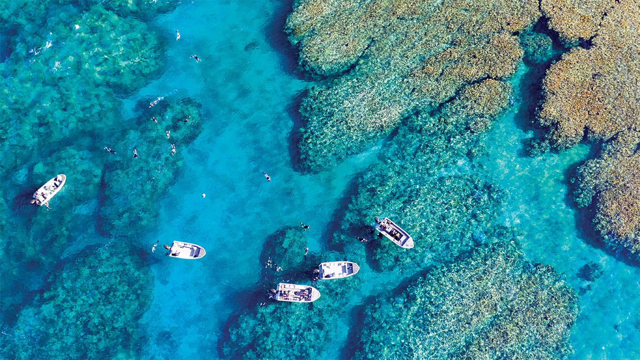 I found Australia's best-kept secret reef