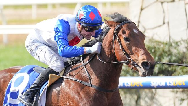 Jockey Blake Shinn and promising galloper Si Si Milano will again team up at Pakenham on Monday. Picture: Racing Photos