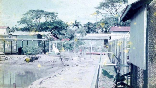 The pond enclosure at Bayersville Zoo around 1960s. Picture: Mackay Historical Society Collection