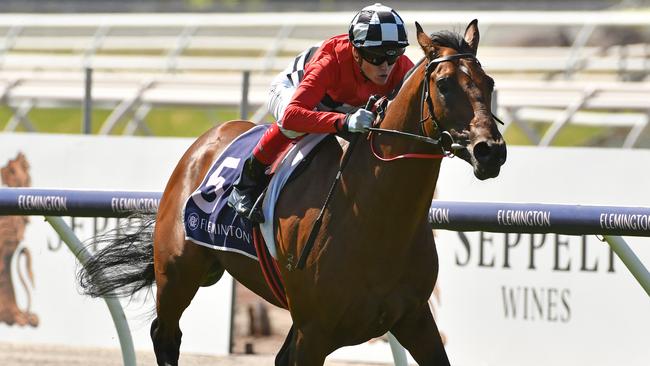 Schabau is ready to run a big race in the Hotham Stakes. Picture: AAP