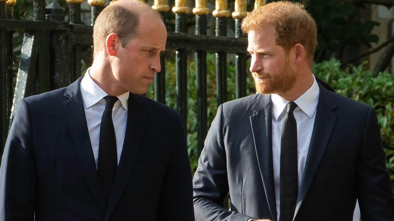 William shows just how far Harry has fallen behind since Megxit. Picture: Mark Kerrison/In Pictures via Getty Images