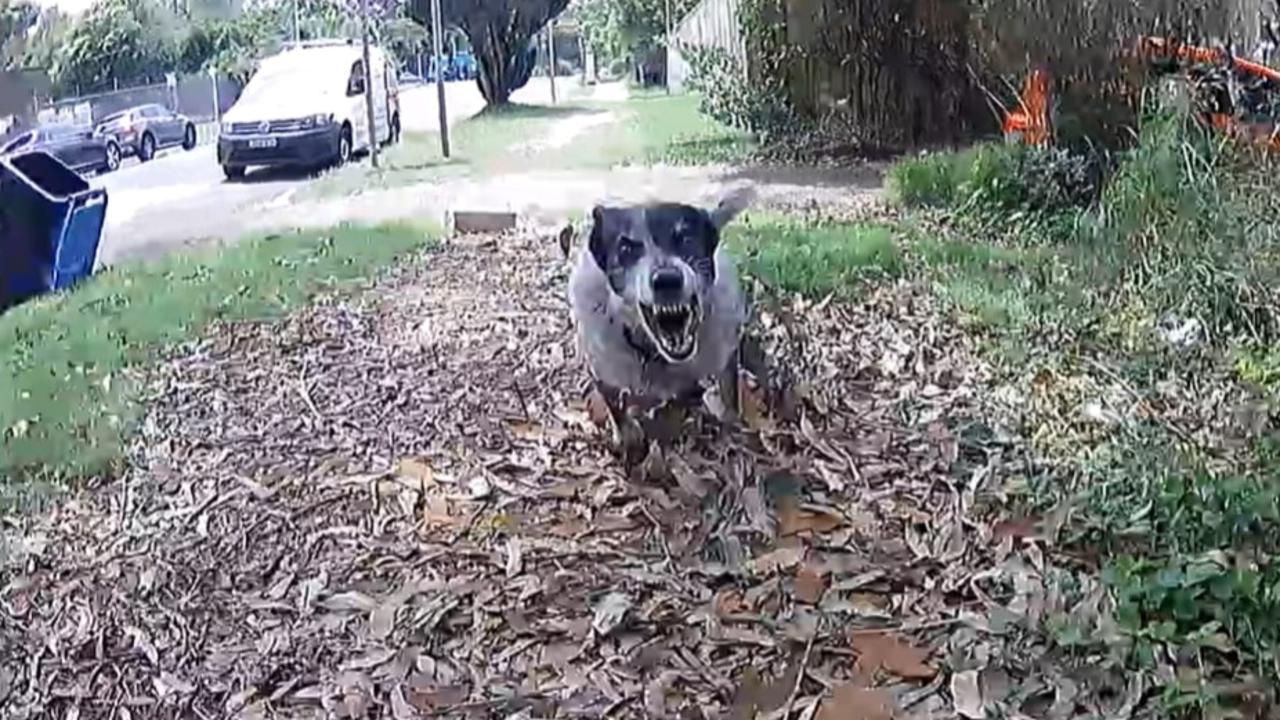 Australia Post will roll out Citronella spray to its employees as a dog attack deterrent. Picture: Supplied