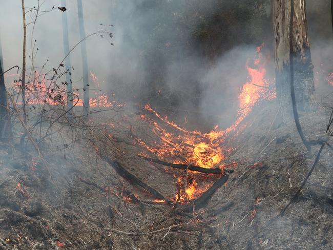 Firefighters battle bushfires in Busbys Flat, northern NSW, Wednesday, October 9, 2019. (AAP Image/Jason O'Brien)
