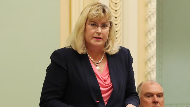 Local Government Minister Ann Leahy. Photo: Liam Kidston.