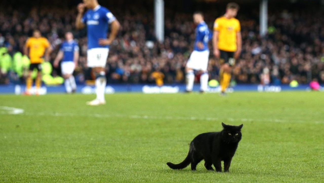 EPL news Black cat on the pitch weather warnings across UK Ben