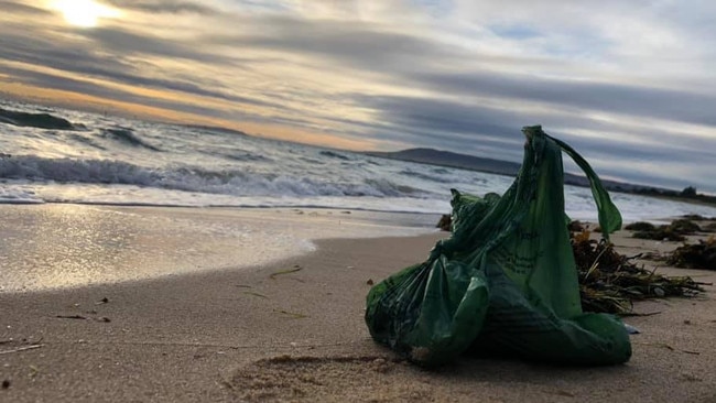 Dog poo bags littered across Gold Coast beaches