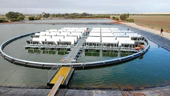 An example of floating solar panels. Isaac Regional Council will investigate the feasibility of floating solar arrays at its water treatment plants.