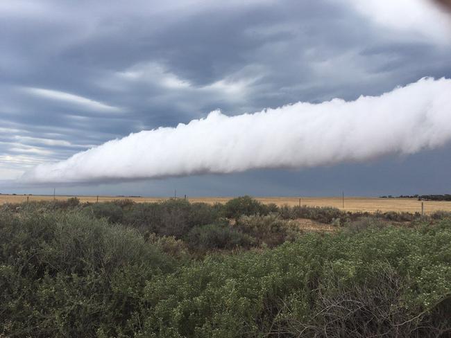 Storm clouds roll into Ceduna Picture: Andrew Brooks