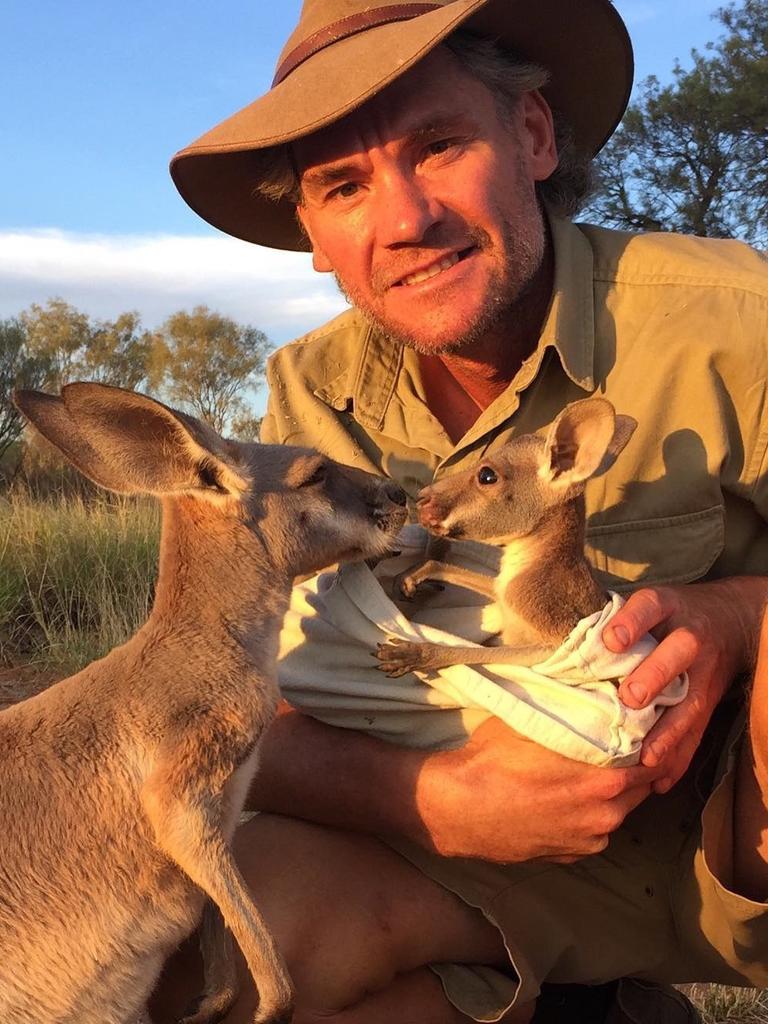 I love it when my baby orphan kangaroos meet. This is Indi saying hello to Jimmy on our sunset walk. Picture: <a href="https://www.instagram.com/thekangaroosanctuary/" target="_blank">@thekangaroosanctuary/Instagram</a>