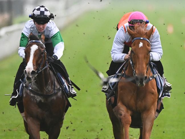 Blake Shinn riding Vow and Declare (r) during the Breakfast With The Stars Trackwork Session at Flemington Racecourse on October 25, 2022 in Melbourne, Australia. Picture: Vince Caligiuri