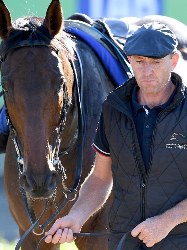 Marmelo at his Werribee home this spring.