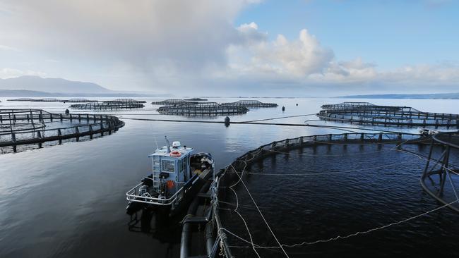 Tassal salmon pens, in Macquarie Harbour, Strahan, West Coast of Tasmania Picture: MATHEW FARRELL